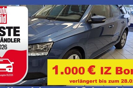 Skoda Fabia 93.592 km 12.490 &euro; Wolfsburg-Heiligendorf 38444