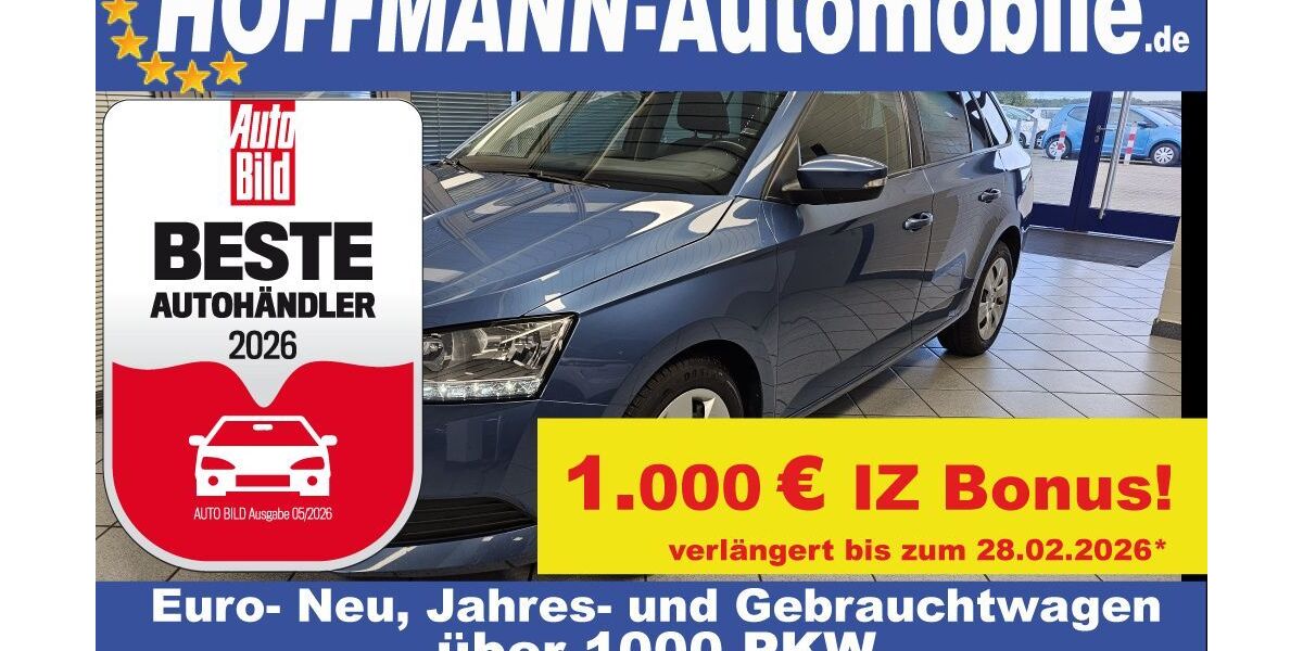 Skoda Fabia 93.592 km 12.490 &euro; Wolfsburg-Heiligendorf 38444