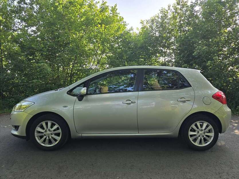 Auris