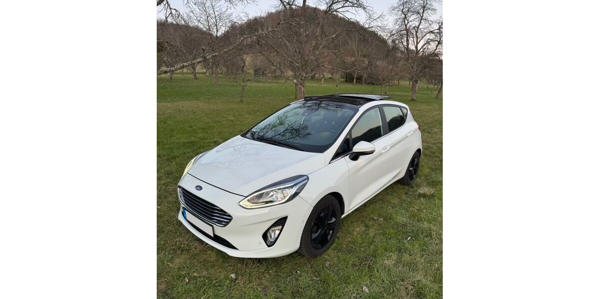Ford Fiesta 108.900 km 10.200 &euro; Lichtenstein 72805