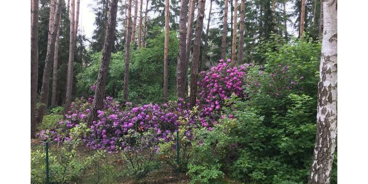 Grundstück Lindwedel - 155.000&euro; | Angebot:27087637