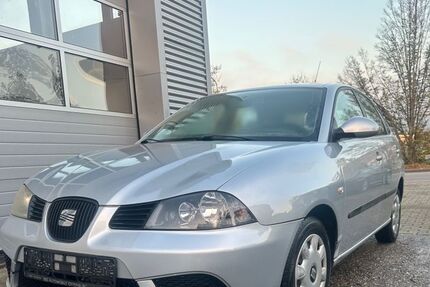Seat Ibiza 140.113 km 2.890 € Offenburg 77652