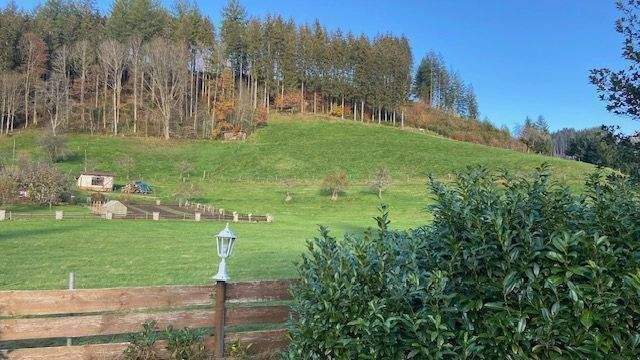 Gewerbeobjekt Bad Rippoldsau-Schapbach Schapbach - 1 Zimmer, 500.000&euro; | Angebot:26572913
