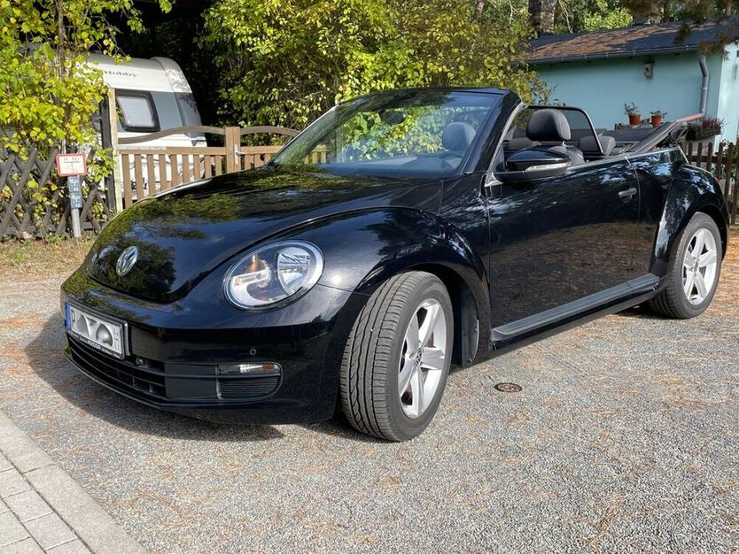 Beetle
