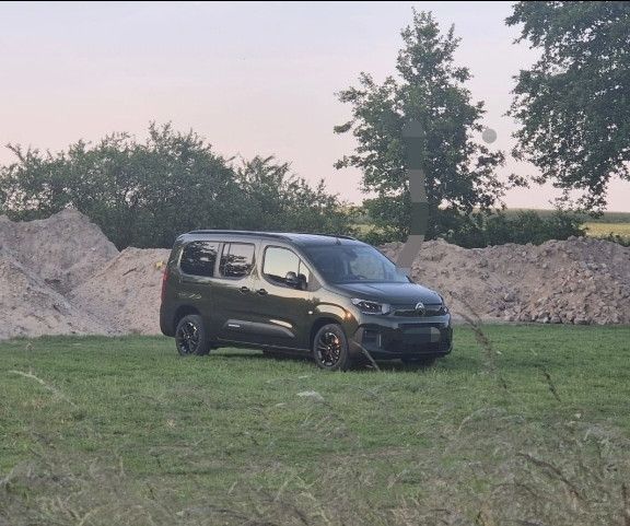 Berlingo