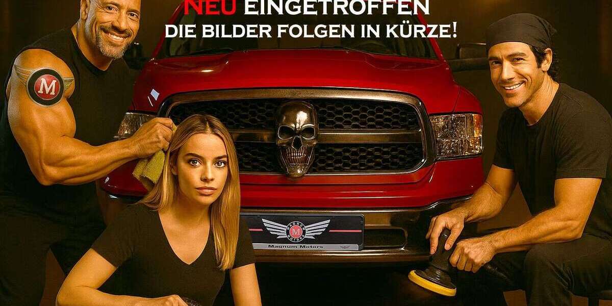 Nissan Navara 195.500 km 18.990 &euro; Düsseldorf 40625