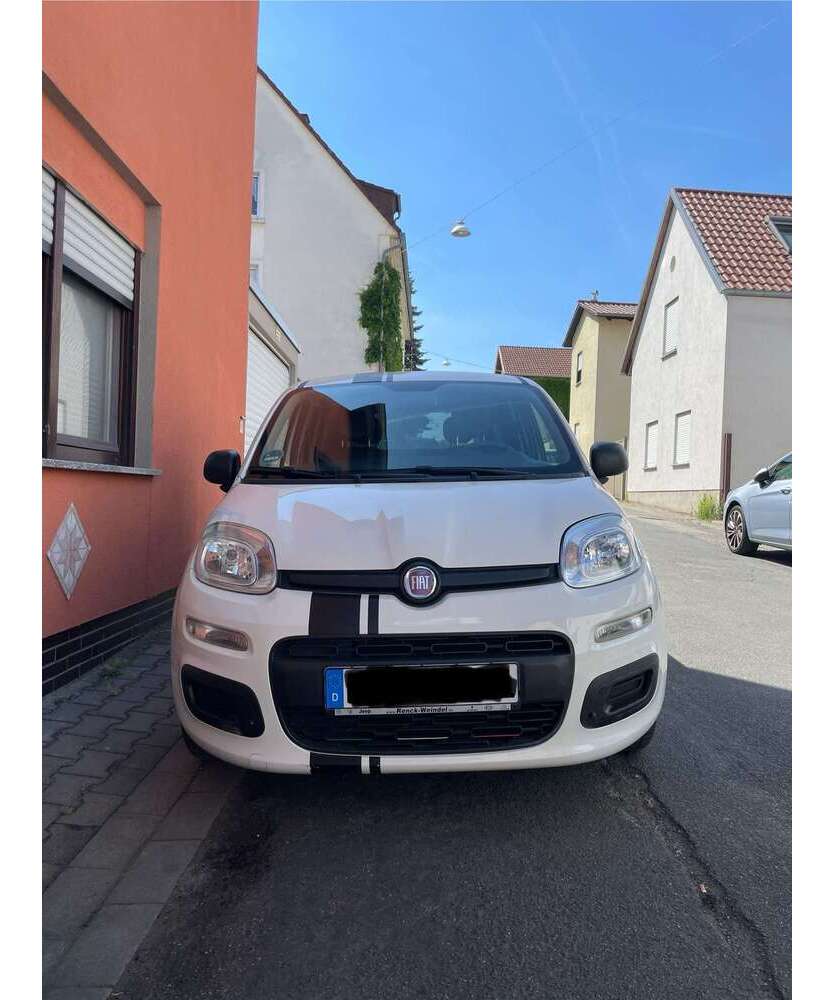Panda