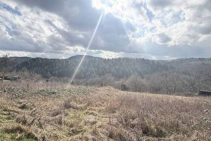 Baugrundstück mit Wiesengrund in Geisfeld - Idyllisches Wohnen im Naturpark Saar-Hunsrück zimmer