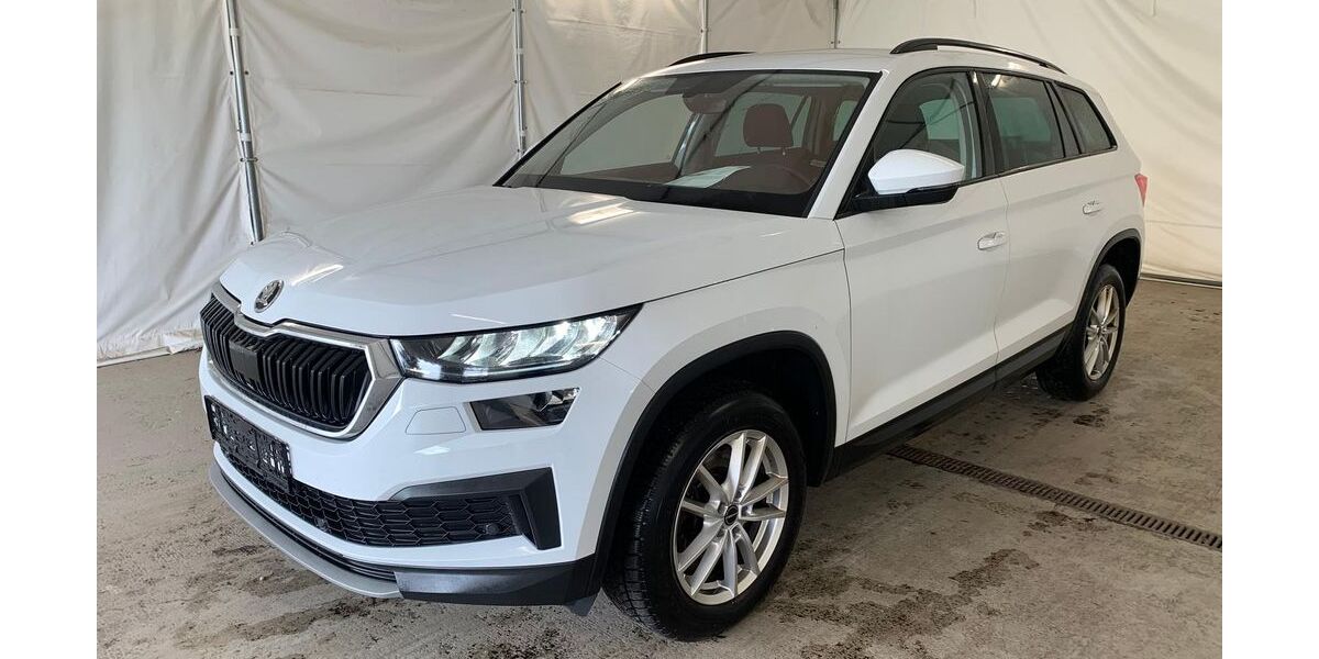 Skoda Kodiaq 130.000 km 23.950 &euro; Steinbach-Hallenberg OT Herges-Hallenberg 98587