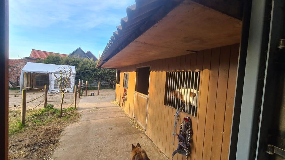 Mehrfamilienhaus, Wohnhaus Hohenhameln - 15 Zimmer, 450 m&sup2;, 1.300.000&euro; | Angebot:26409955