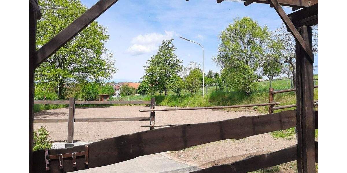 Mehrfamilienhaus, Wohnhaus Michelstadt Weiten-Gesäß - 6 Zimmer, 230 m&sup2;, 695.000&euro; | Angebot:25743244