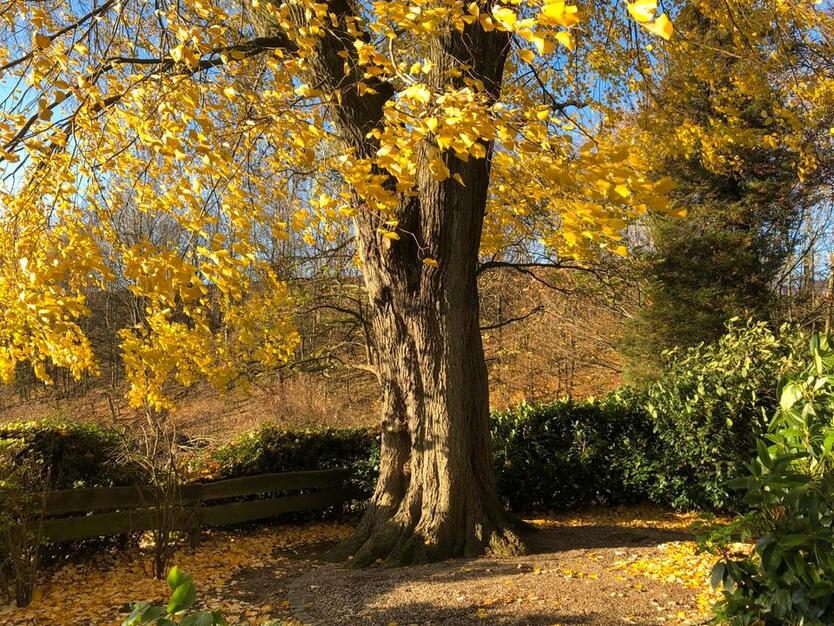 Wohnhaus mit landwirtschaftlichen Nebengebäuden zimmer