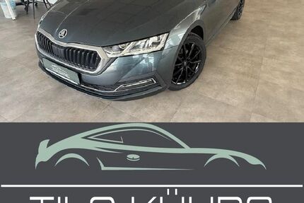 Skoda Octavia 130.101 km 16.990 &euro; Bad Düben 04849
