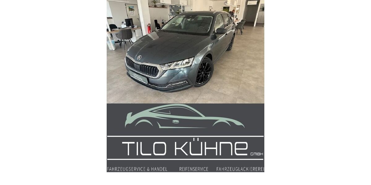 Skoda Octavia 130.101 km 16.990 &euro; Bad Düben 04849