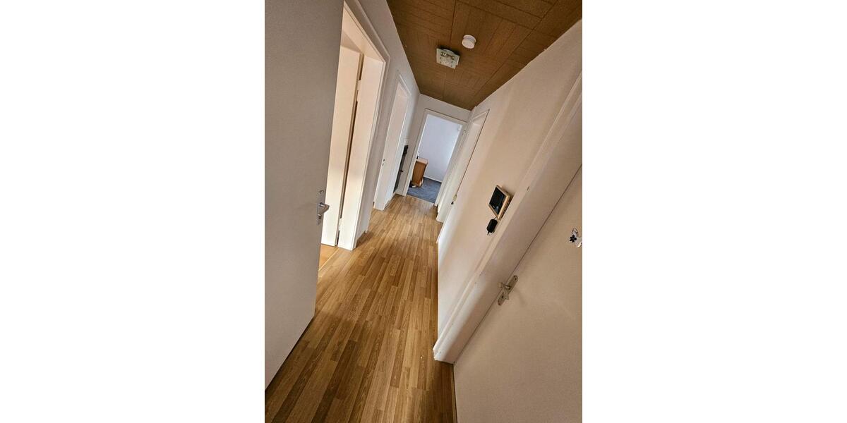 3 Zimmer Wohnung 3 zimmer