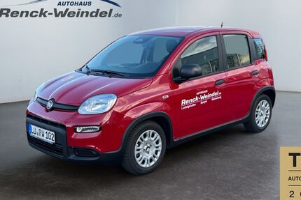 Fiat New Panda 1.647 km 15.289 € Speyer 67346