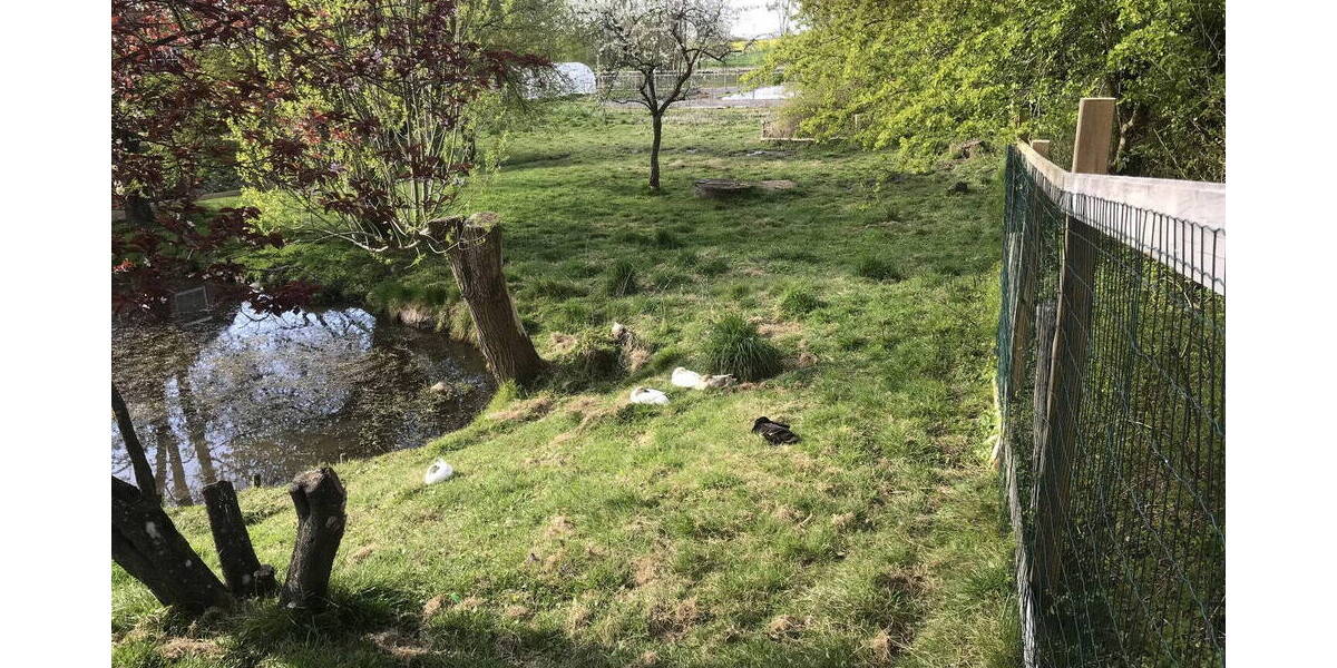 Mehrfamilienhaus, Wohnhaus Wangels Kükelühn - 1 Zimmer, 460 m&sup2;, 1.290.000&euro; | Angebot:26039041