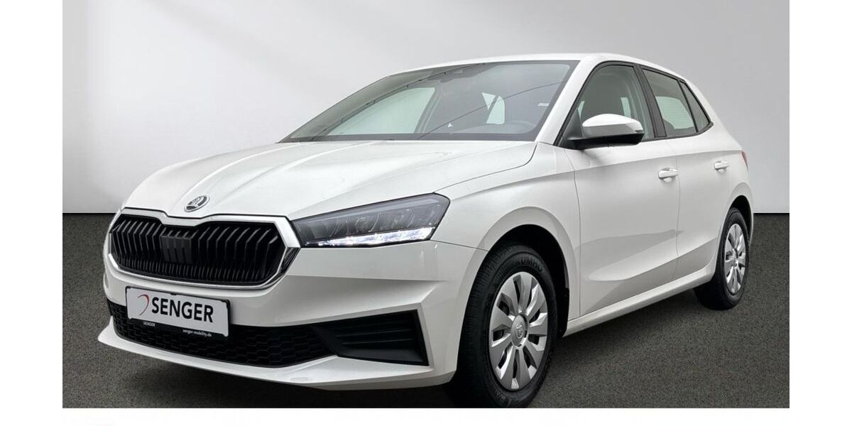 Skoda Fabia 17.371 km 15.990 &euro; Emsdetten 48282