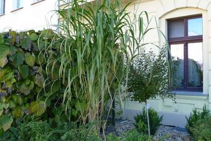 Wohnung zum Kaufen in Magdeburg 155.000 € 109.04 m² 4 zimmer