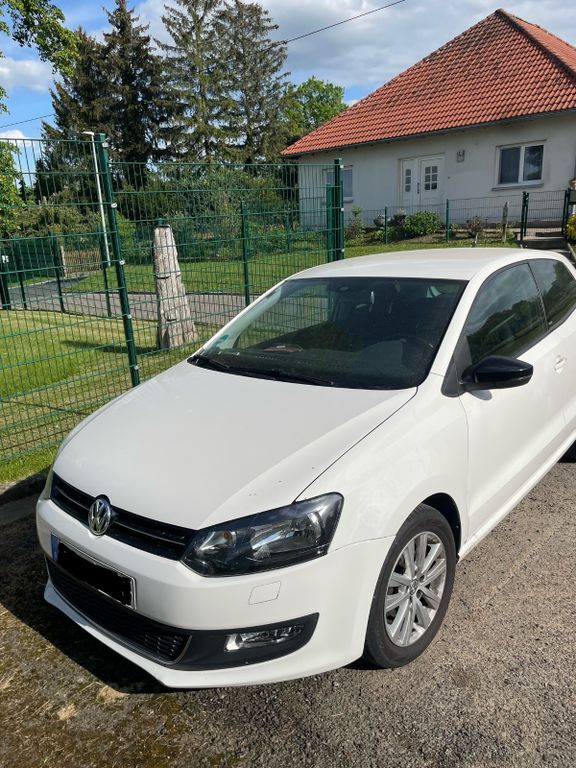 Polo