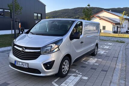 Opel Vivaro 149.825 km 12.200 &euro; Hunding 94551