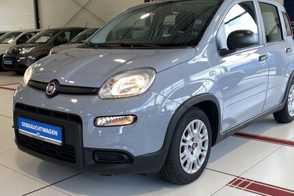 Fiat Panda 18.705 km 11.430 &euro; Buchholz in der Nordheide 21244