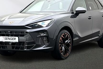 Cupra Terramar 3.500 km 45.980 &euro; Münster 48157