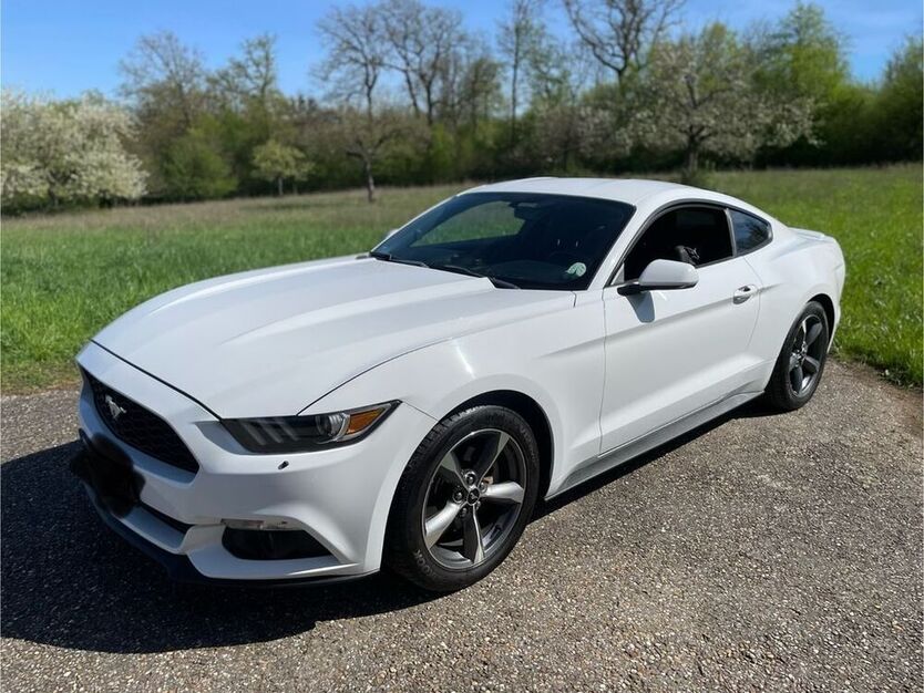 Mustang