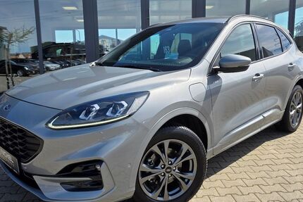 Ford Kuga 34.000 km 23.899 &euro; Damme 49401