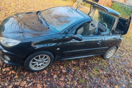 Peugeot 206 227.000 km 3.000 &euro; Visbek 49429