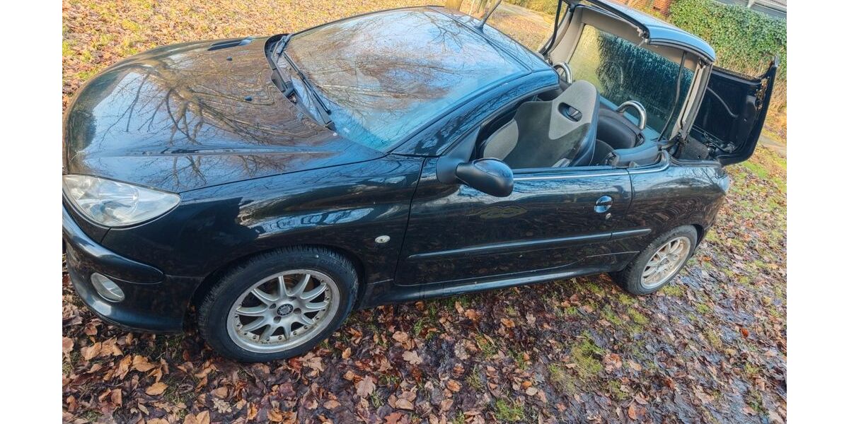 Peugeot 206 227.000 km 3.000 &euro; Visbek 49429