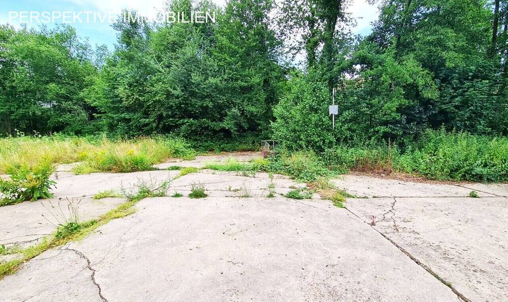 Grundstück Michelstadt Steinbach - 420.000&euro; | Angebot:25821140