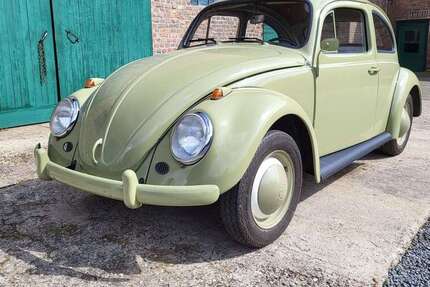 VW Käfer 51.000 km 19.800 &euro; Linnich-Körrenzig 52441