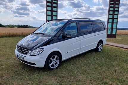 Mercedes Viano