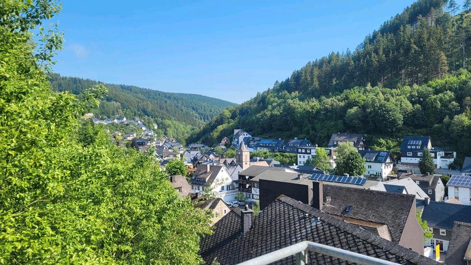 Terrassenwohnung Willingen (Upland) - 2 Zimmer, 66 m&sup2;, 215.000&euro; | Angebot:27071503