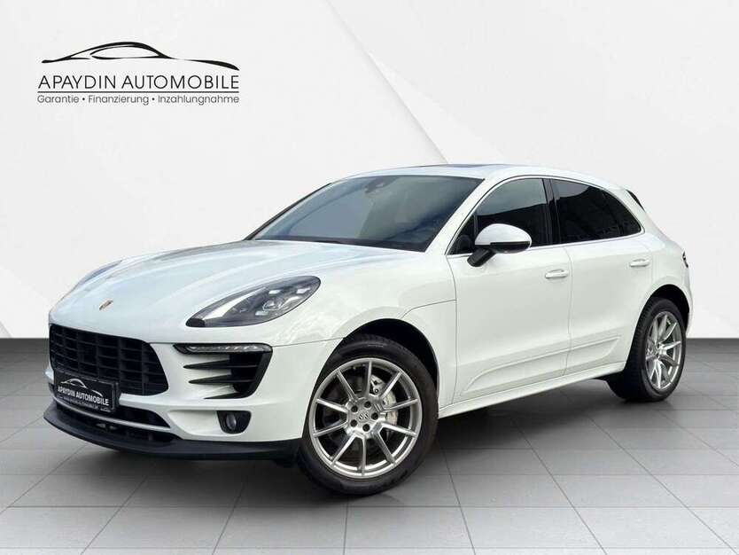 Macan