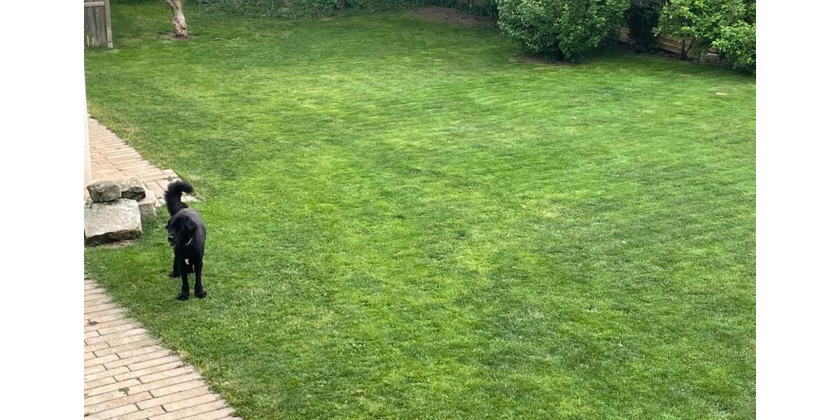 Einfamilienhaus Küps - 5 Zimmer, 158 m&sup2;, 1.289&euro; | Angebot:25050702