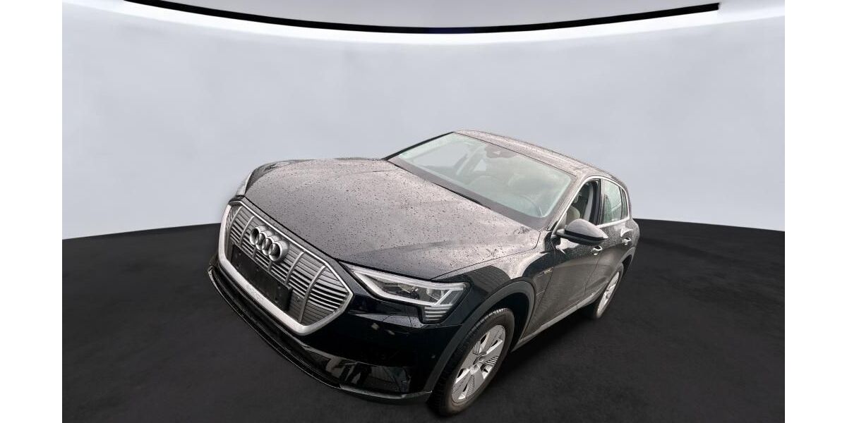 Audi e-tron 25.433 km 34.350 &euro; Hagen 58091