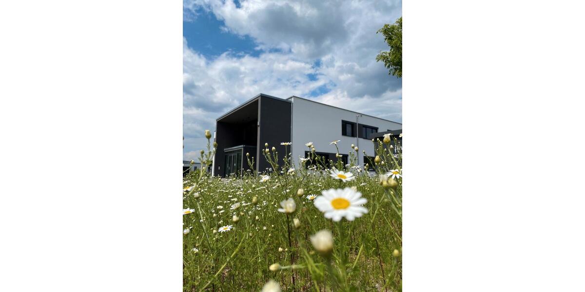 Gewerbeobjekt Karlstadt - 250&euro; | Angebot:22932125