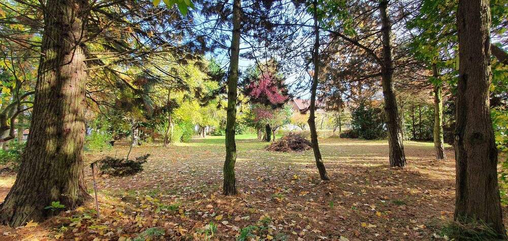 Viel Platz für Ihre Ideen - 2 Häuser * Bürohaus * Ladengeschäft * Wirtschaftsgebäude * 4 Garagen * Wald uvm. - Mehrfamilienhaus, Wohnhaus Arendsee (Altmark) Fleetmark | Angebot:25536497