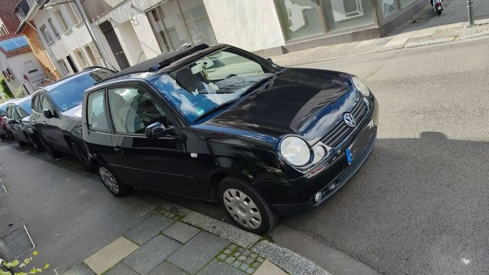 Lupo