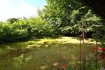 Einfamilienhaus Mölln / Auf der Heide Auf der Heide - 4 Zimmer, 96 m&sup2;, 269.000&euro; | Angebot:25660673