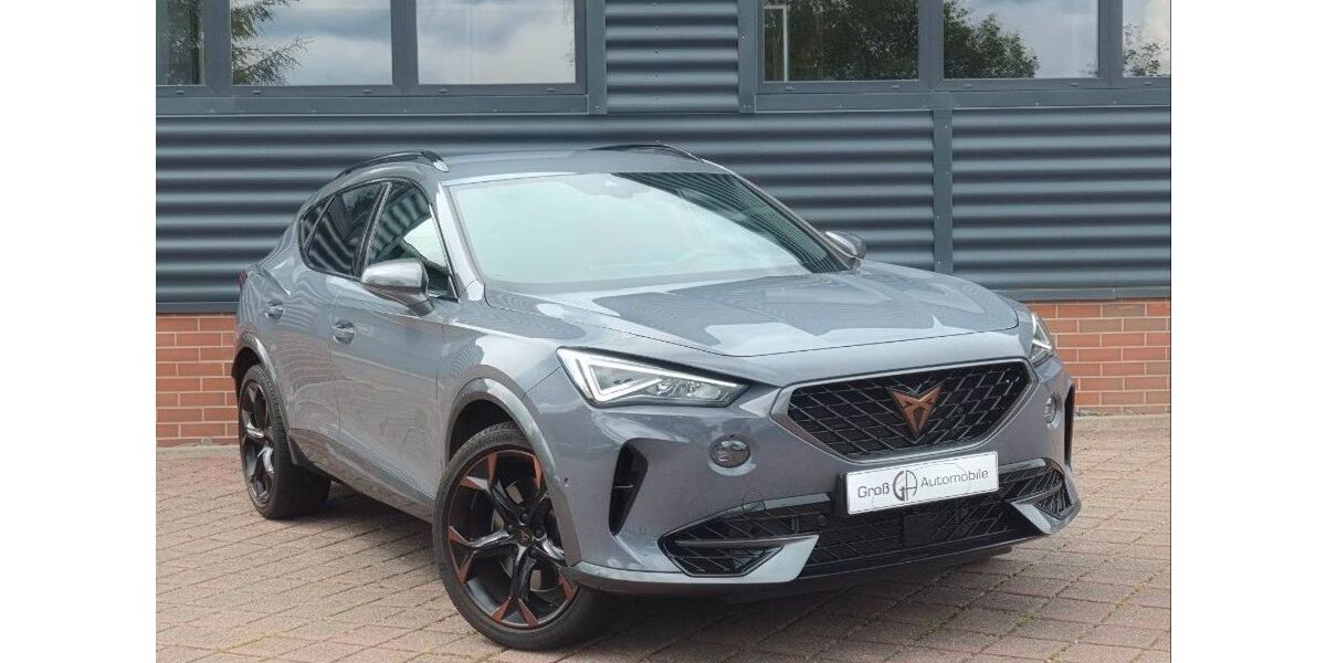 Cupra Formentor 43.990 km 30.990 &euro; Schneeberg 08289