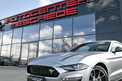 Ford Mustang 36.676 km 38.890 &euro; Meschede/NRW 59872