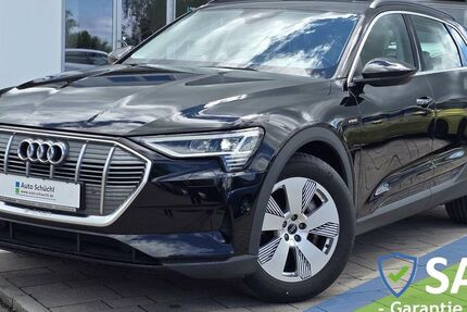 Audi e-tron 38.332 km 28.748 &euro; Schrobenhausen-Edelshsn. 86529