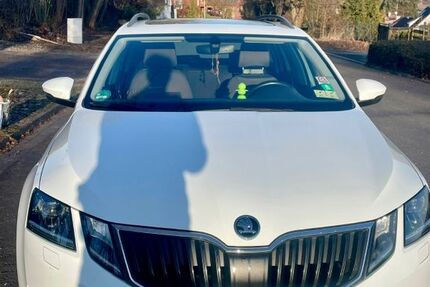 Skoda Octavia 162.200 km 14.400 &euro; Hehlen 37619