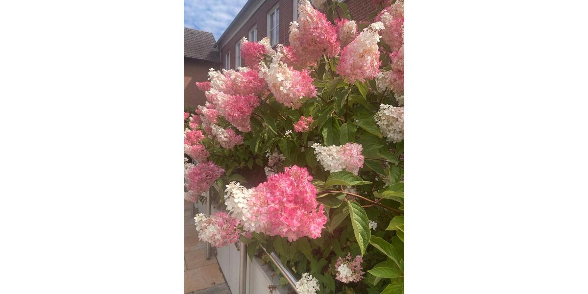 2 - Familienhaus in Metjendorf 7 zimmer