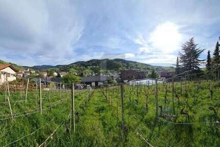 Grundstück Bühlertal - 294.000&euro; | Angebot:25549550