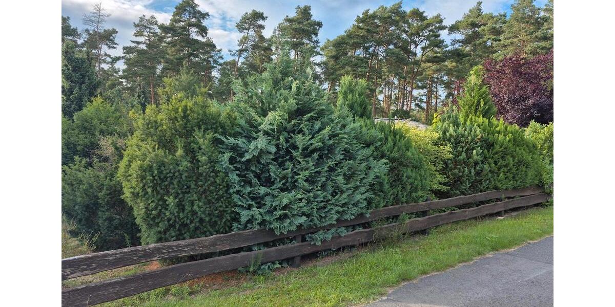 Einfamilienhaus Tremsbüttel - 3 Zimmer, 76 m&sup2;, 980&euro; | Angebot:25942847