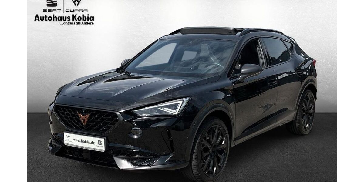Cupra Formentor 61.745 km 29.890 &euro; Sinsheim 74889